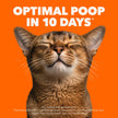 IAMS Proactive Health Indoor Weight & Hairball Care Adult Dry Cat Food – Chicken & Turkey – 3.18KG (7LB) Bag 🍁 All In One Marketplace Canada