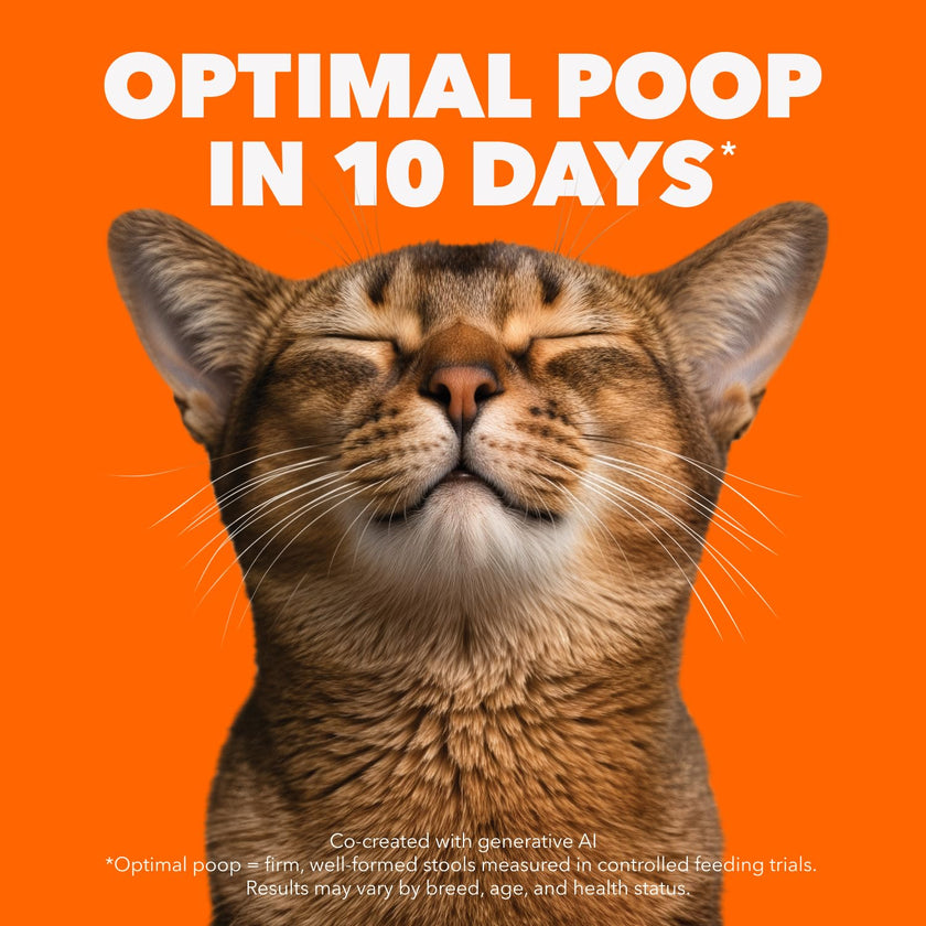 IAMS Proactive Health Urinary Tract Health Adult Dry Cat Food – with Chicken – 3.18KG (7LB) Bag 🍁 All In One Marketplace Canada