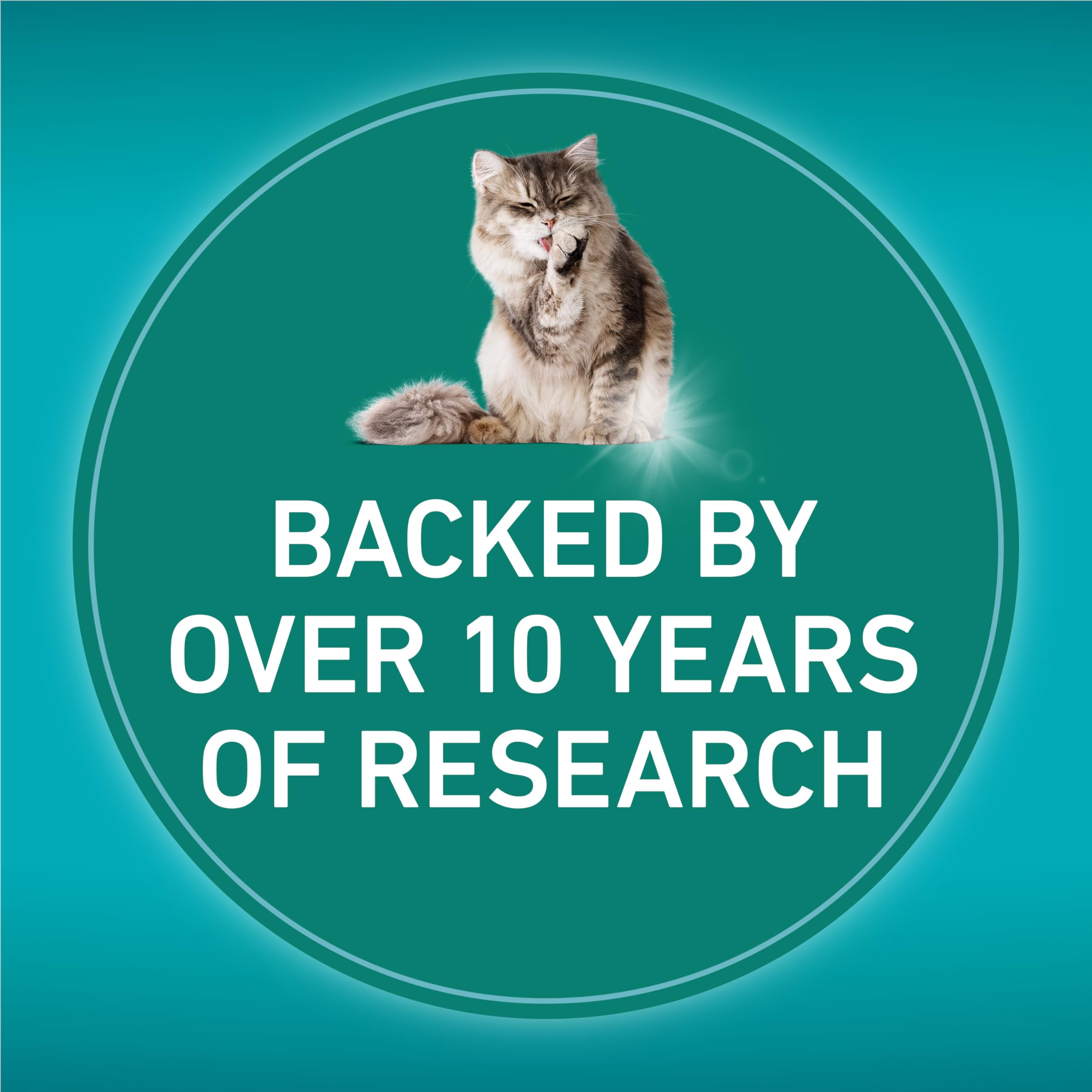 Purina ONE LiveClear Dry Cat Food, Allergen Reducing with Chicken 2.86kg 🍁 All In One Marketplace Canada