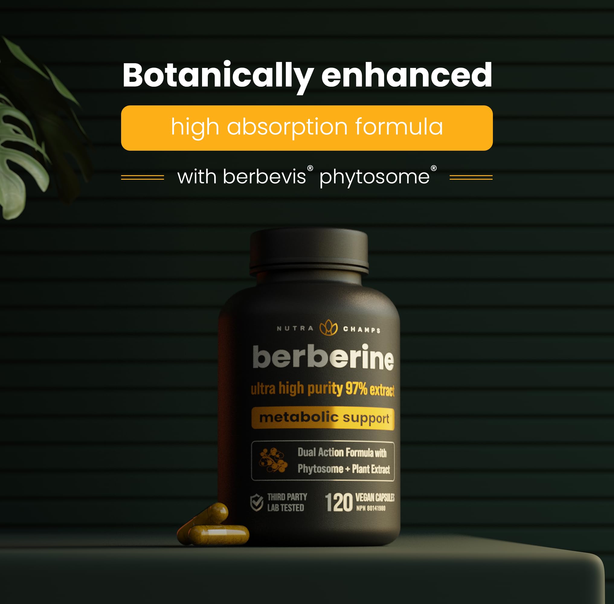 Berberine 1200mg Complex – 120 Count - Highest Purity 97% Berberine HCl + Patented Berbevis Phytosome for Max Absorption – Ultra Strength Capsules With Grape Seed Extract - Berberine Supplement Supports Glucose Metabolism & Healthy Blood Sugar Levels
