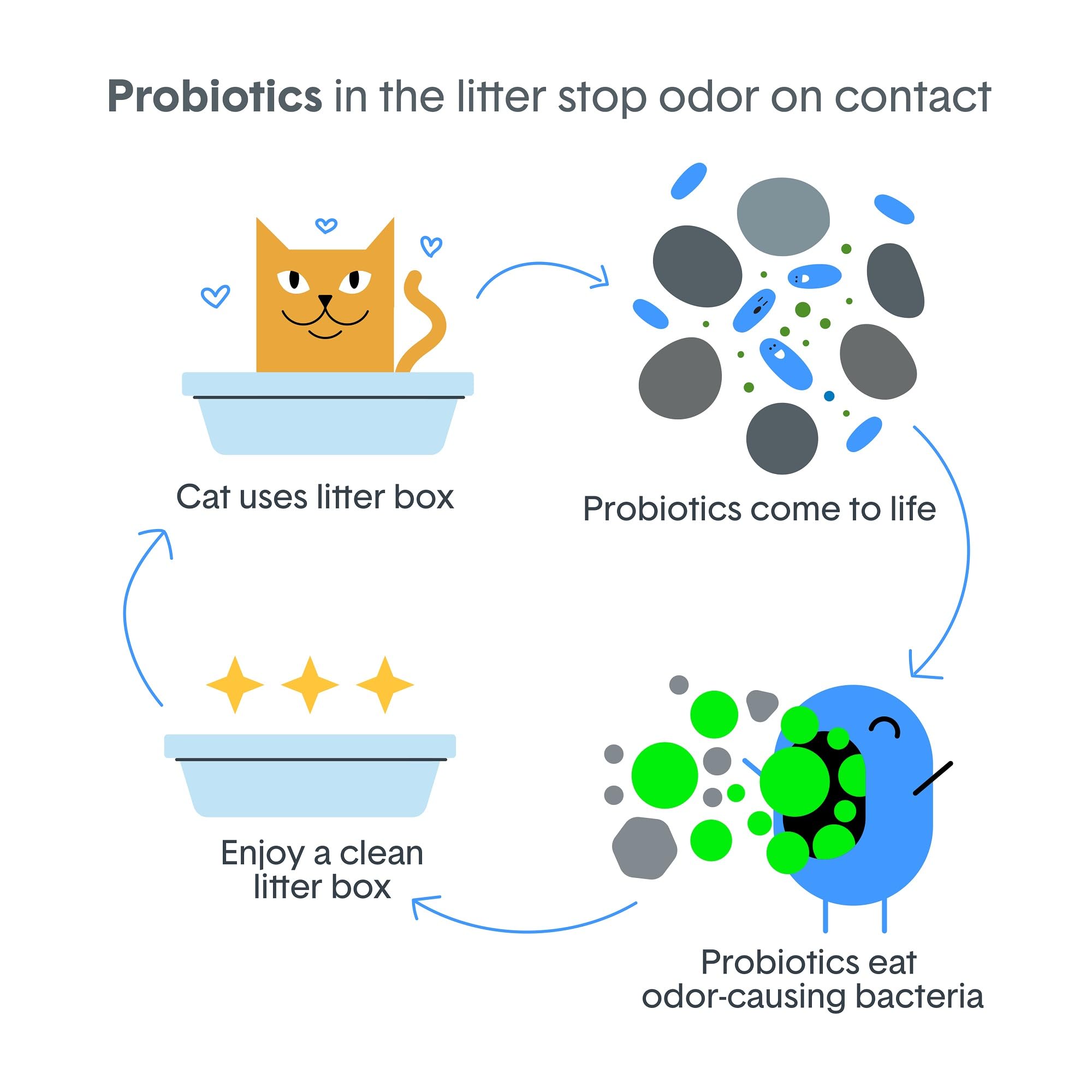 Boxie® Probiotic Cat Litter 40 Day Natural Odor Control, 16lb Clumping Kitty Litter (Clay) 🍁 All In One Marketplace Canada