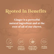 Chimes Original Ginger Chews, 141.80 g 🍁 All In One Marketplace Canada