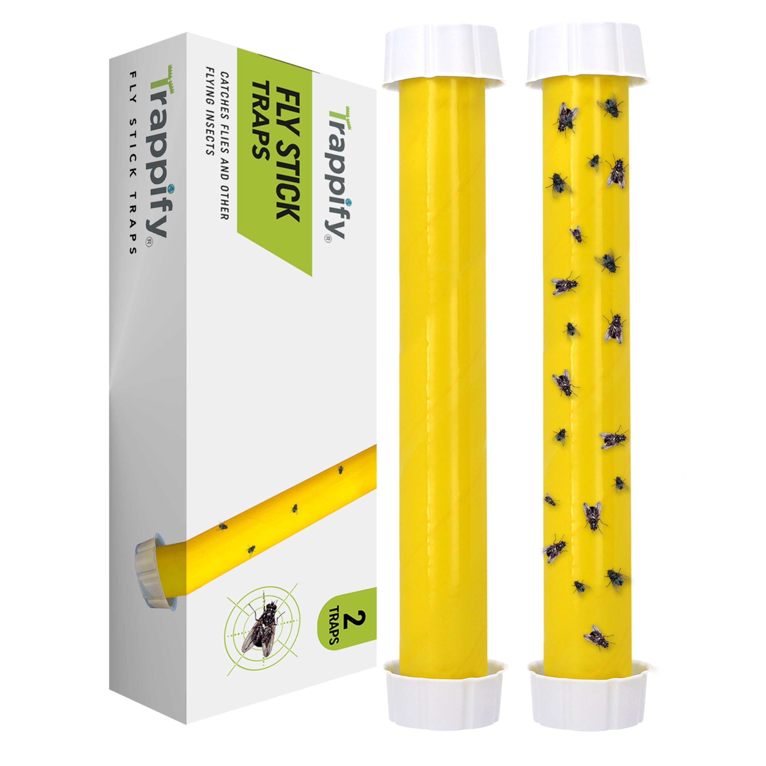 Trappify Hanging Fly Traps Outdoor: Fruit Fly Traps for Indoors | Fly Catcher, Gnat, Mosquito, & Flying Insect Catchers for Inside Home - Disposable Sticky Fly Trap for Indoor House Pest Control (2) 🍁 All In One Marketplace Canada