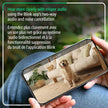 Blink Mini 2K+ (newest model) – Plug-in Home & Pet Security Camera with 2K video resolution, colour night vision, enhanced audio, motion detection – 2 cameras (Black) 🍁 All In One Marketplace Canada