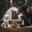 Citrobug Essential Oils Based Insect Repellent for Dogs and Horses - No Deet, 122 ml 🍁 All In One Marketplace Canada