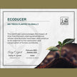 ecoducer 12”x100’ Honeycomb Packing Paper Moving Supplies. Eco Friendly Bubble Paper Wrap Roll for Packing Fragile Items. Packaging Sheets for Moving. Kraft Paper Shipping Supplies. 🍁 All In One Marketplace Canada