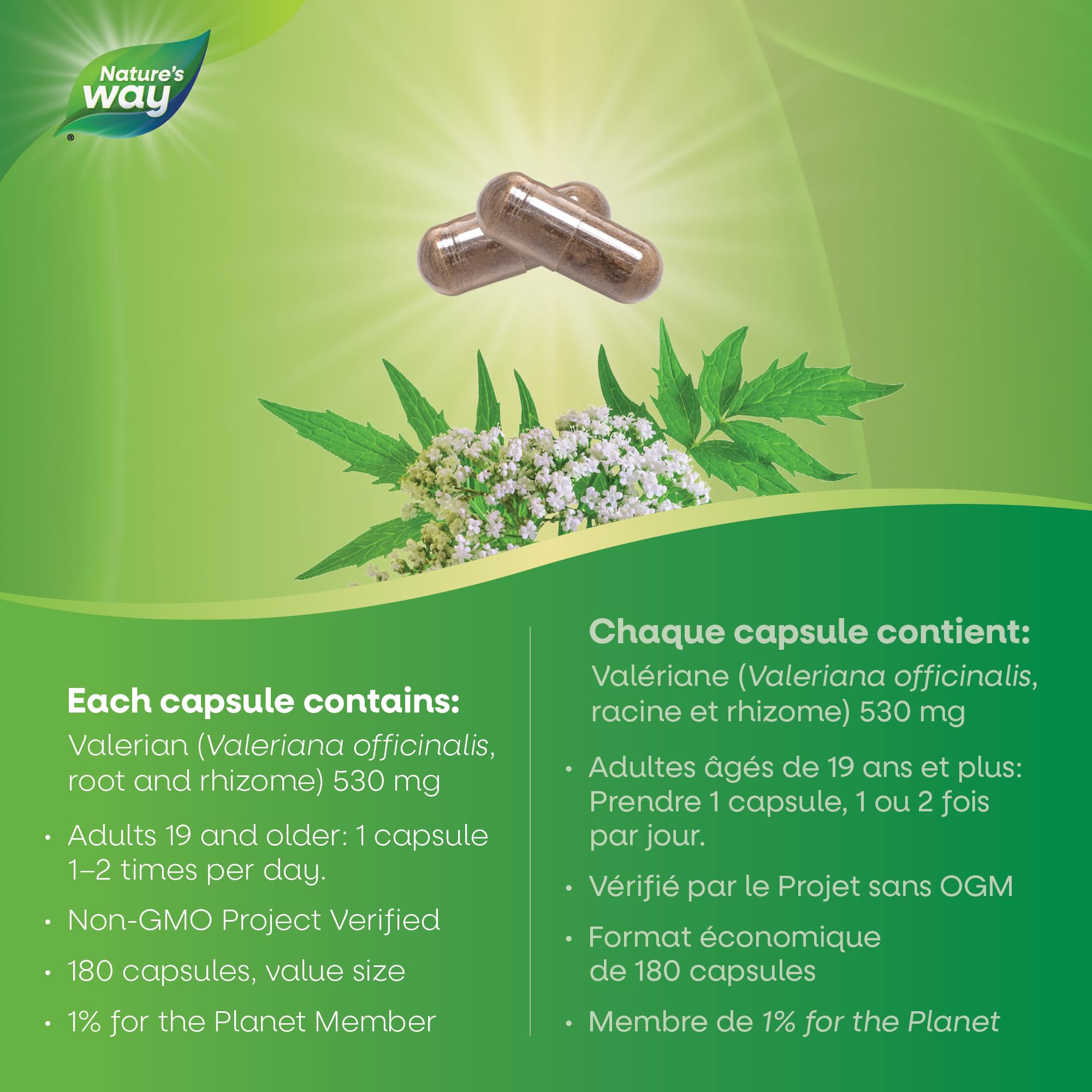 Nature's Way Valerian Root, Sleep Aid to Help Promote Sleep, Value Size, 180 Vegetarian Capsules 🍁 All In One Marketplace Canada