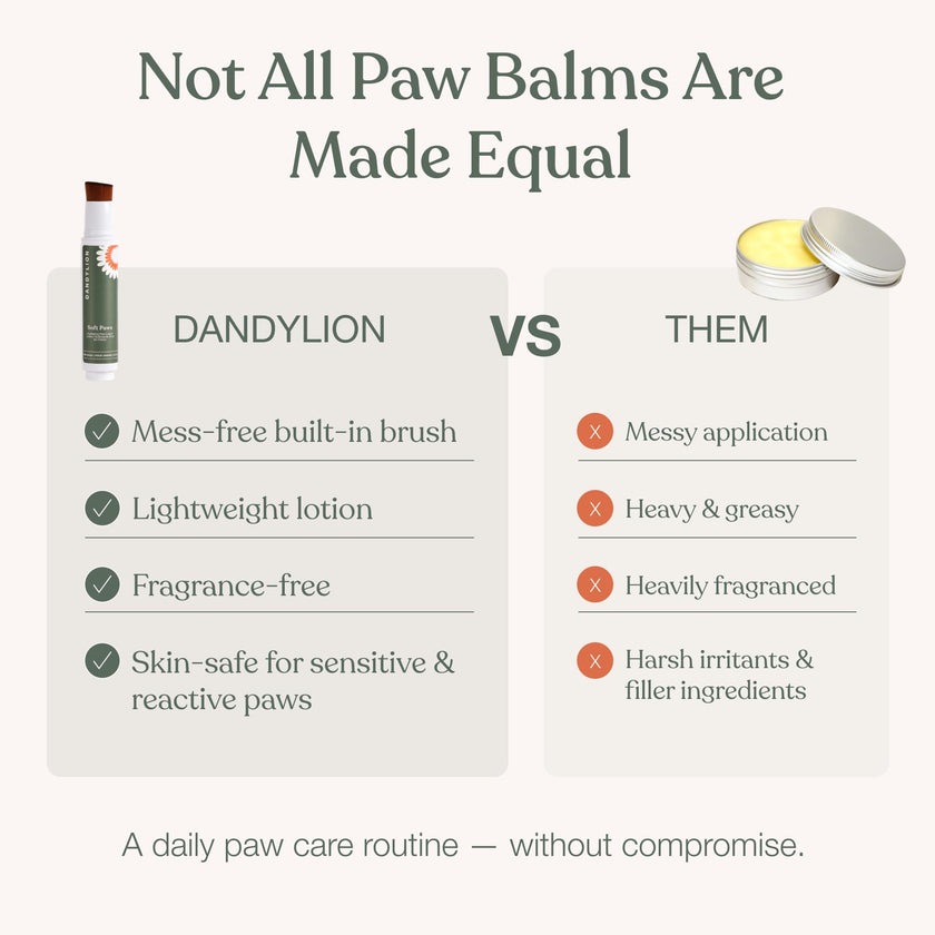 Dandylion Dog Paw Balm, Soft Paws, Paw Moisturizer for Dogs, Dog Lotion with Brush, Fragrance Free pH Balanced Lotion for Paws, Lightweight Moisture for Dry Cracked Paw Pads and Nose, 0.6 fl oz 🍁 All In One Marketplace Canada