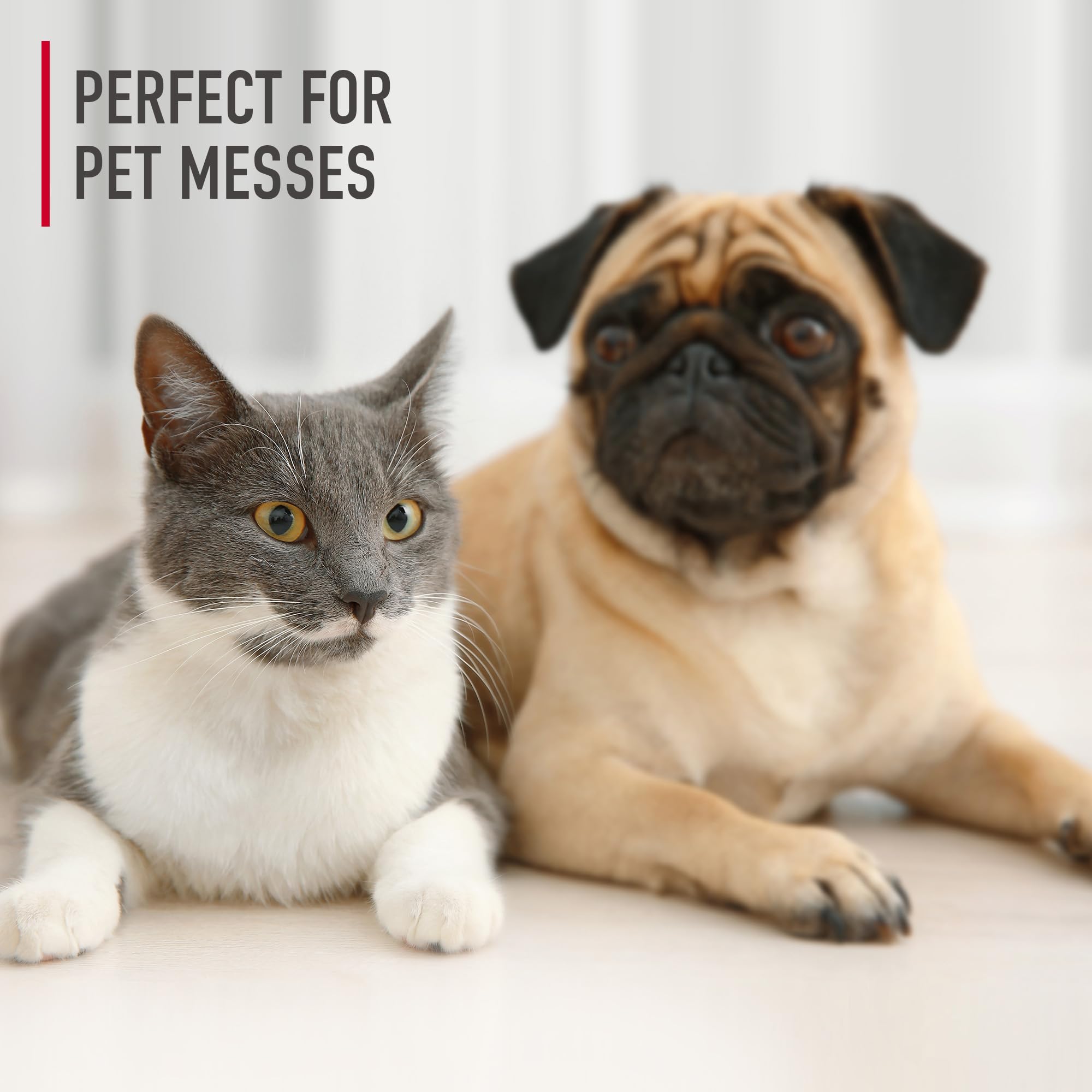 Hoover Pet Carpet Cleaner Solution, Tropical Breeze Scent, Deep Cleaning Carpet Shampoo, Eliminates Urine Stains & Odors, 64 oz, Compatible with Hoover Carpet Cleaner Machines, AH31925CA 🍁 All In One Marketplace Canada