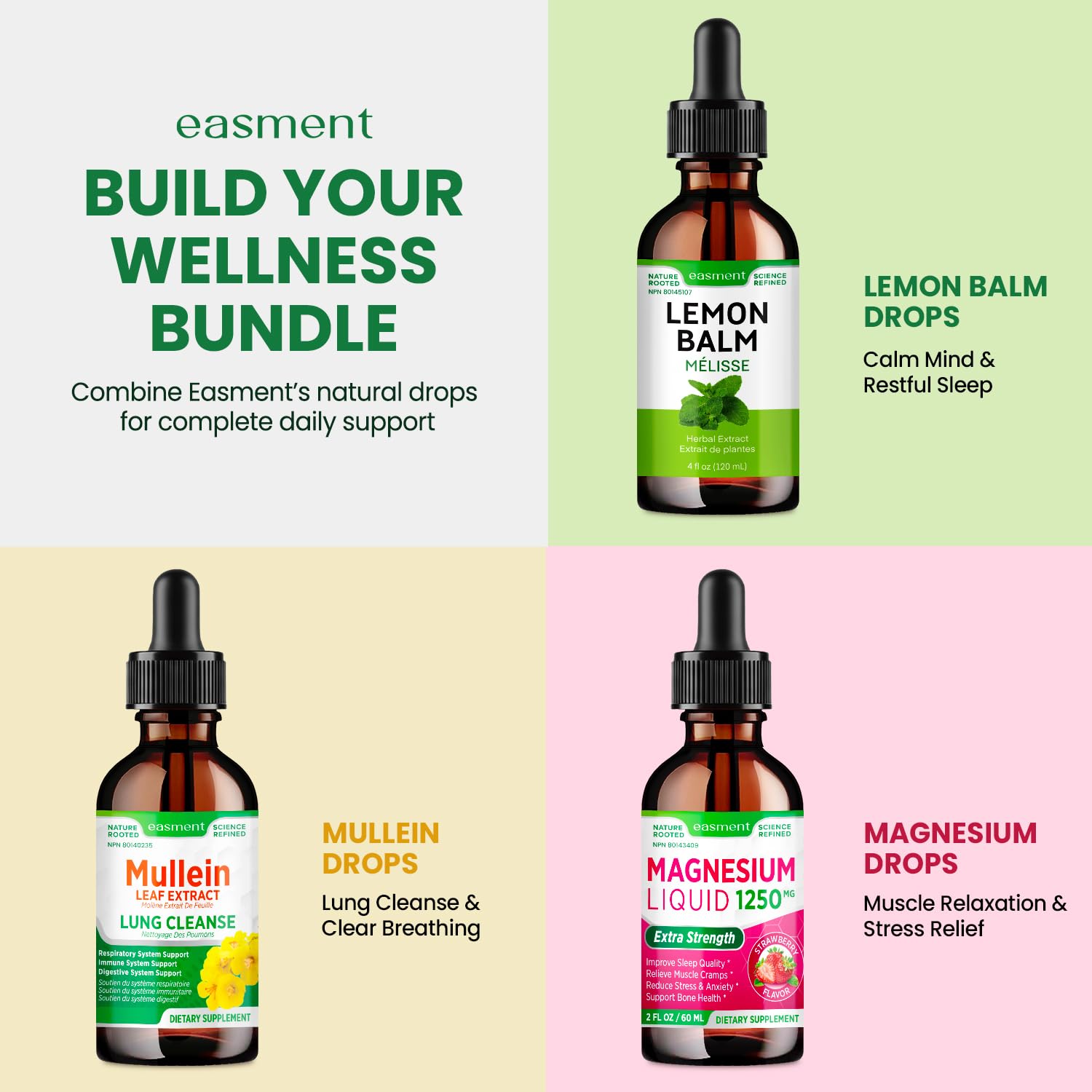 Easment Mullein Leaf Extract Drops for Lungs – Herbal Supplement for Lung Cleanse, Mucus & Phlegm Relief – Alcohol-Free Liquid 🍁 All In One Marketplace Canada