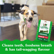 GREENIES Dog Treats Original Regular Natural Dental Care, (54 Treats) 54oz. Pack 🍁 All In One Marketplace Canada