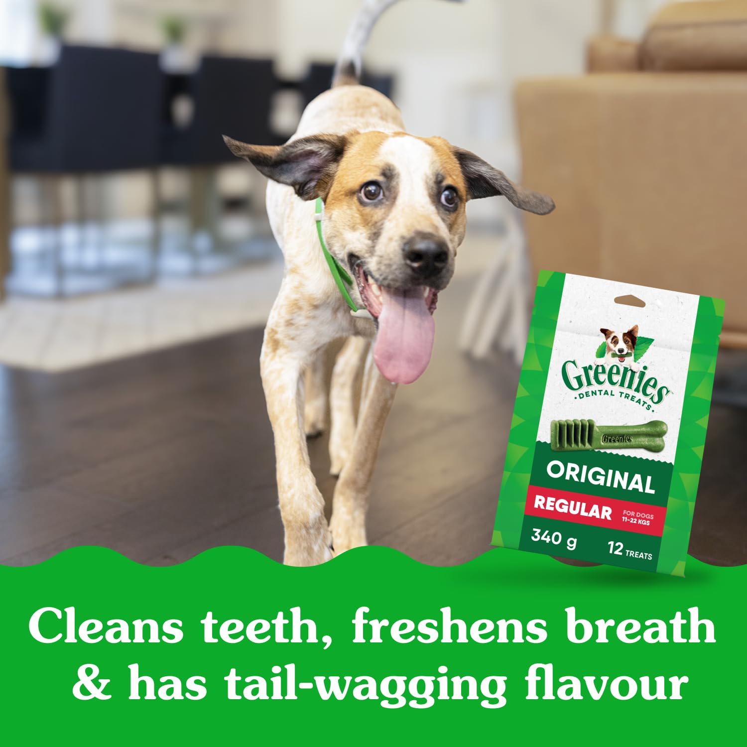 GREENIES Dog Treats Original Regular Natural Dental Care, (54 Treats) 54oz. Pack 🍁 All In One Marketplace Canada