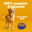 PEDIGREE Vitality+ Dry Food for Adult Dogs, Hearty Beef & Vegetable Flavour, 20kg Bag 🍁 All In One Marketplace Canada