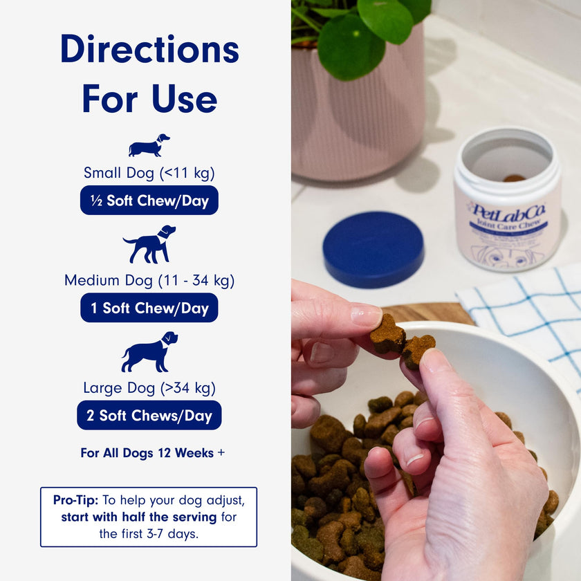 Petlab Co. Joint Care Chews, High Levels of Glucosamine for Dogs, Green Lipped Mussels, Omega 3 and Turmeric, Dog Hip and Joint Supplement to Actively Support Mobility, Packaging May Vary 🍁 All In One Marketplace Canada