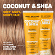 Marc Anthony Coconut Oil & Shea Butter Shampoo & Conditioner – Biotin & Keratin - Sulfate Free, Color Safe, Anti Frizz Hair Shampoo & Conditioner Gift Set for Dry Damaged Hair 🍁 All In One Marketplace Canada