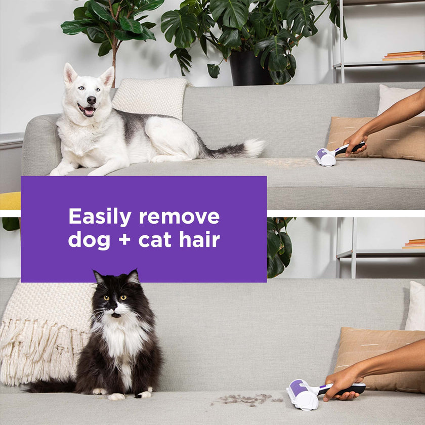 BLACK+DECKER Pet Hair Remover, Roller, Remove Dog Hair and Cat Hair Easily (HMSCT0001) 🍁 All In One Marketplace Canada