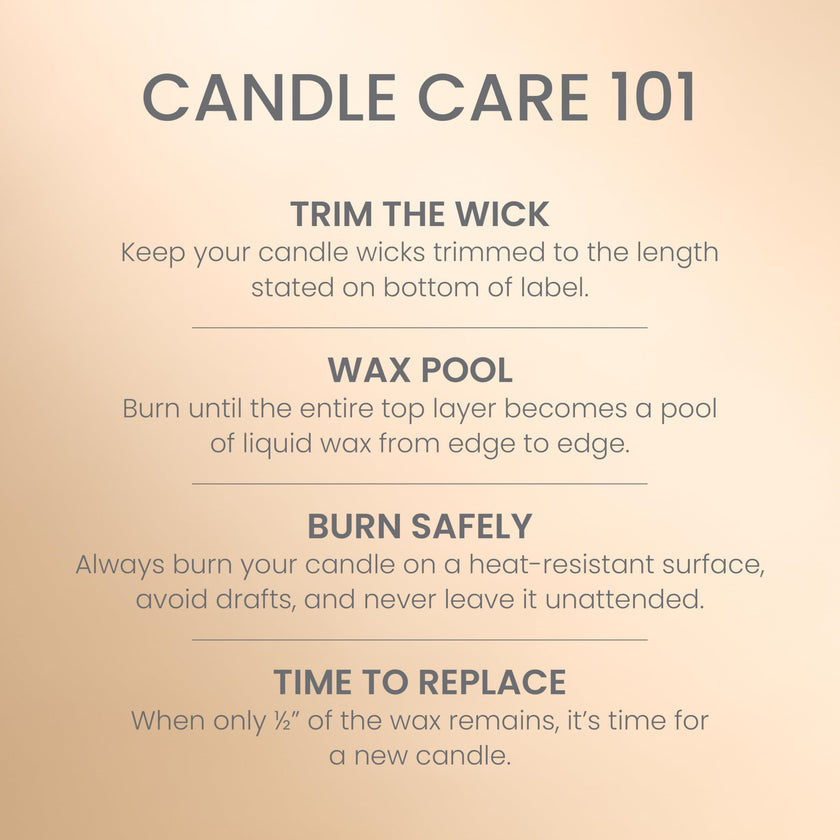 Yankee Candle Large Jar Scented Candle with up to 150 Hour Burn Time, Premium Plant Wax Blend for Cleaner Consistent Burn and Room Filling Fragrance, 22 oz, Vanilla Crème Brule 🍁 All In One Marketplace Canada