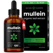 Organic Mullein Leaf Extract for Lungs - 4 Fl Oz - Herbal Tincture for Lung Cleanse & Flush - Natural Mullein Tea Alternative - Mullein Supplement Drops for Lungs - 1,000mg Equivalent Per Serving 🍁 All In One Marketplace Canada