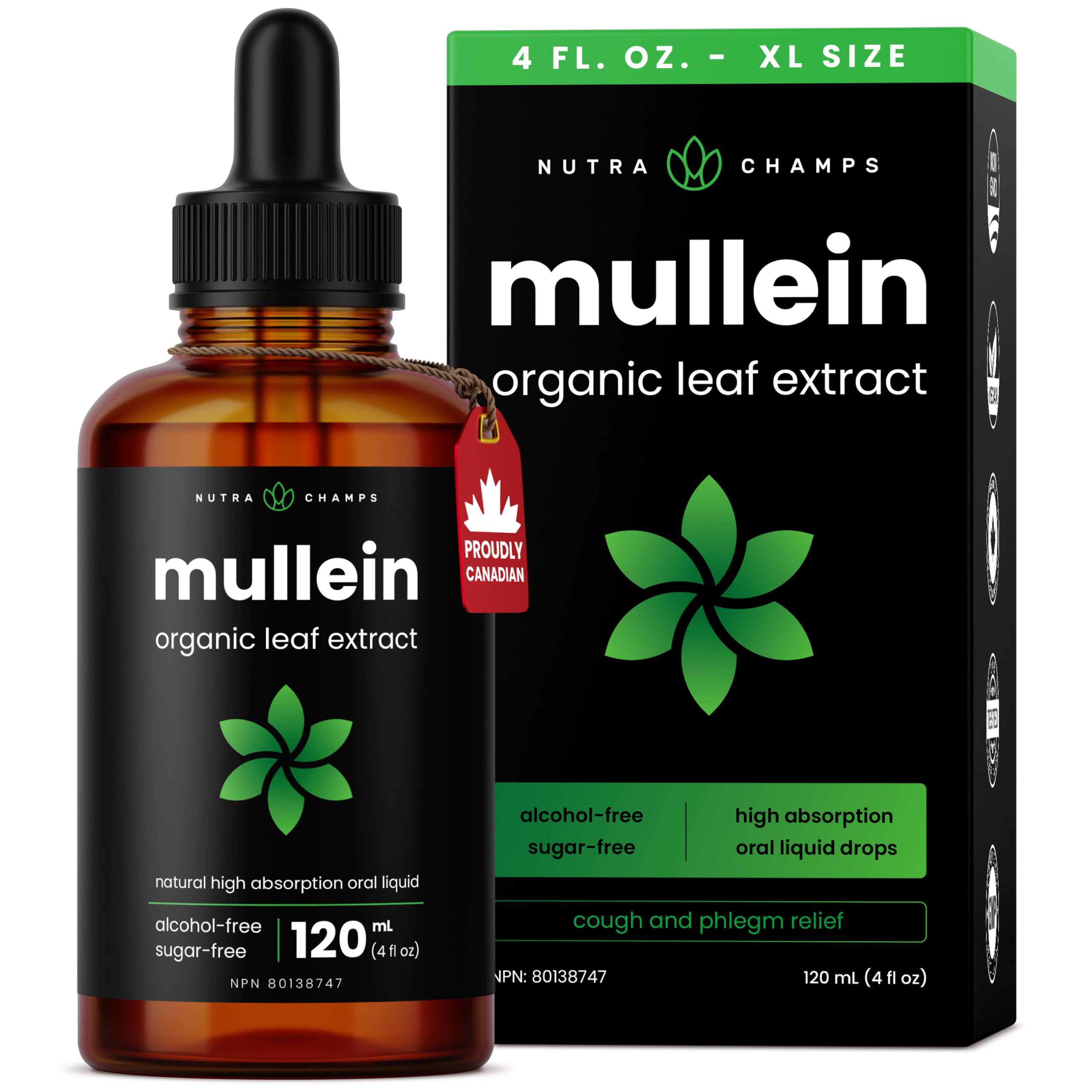 Organic Mullein Leaf Extract for Lungs - 4 Fl Oz - Herbal Tincture for Lung Cleanse & Flush - Natural Mullein Tea Alternative - Mullein Supplement Drops for Lungs - 1,000mg Equivalent Per Serving 🍁 All In One Marketplace Canada