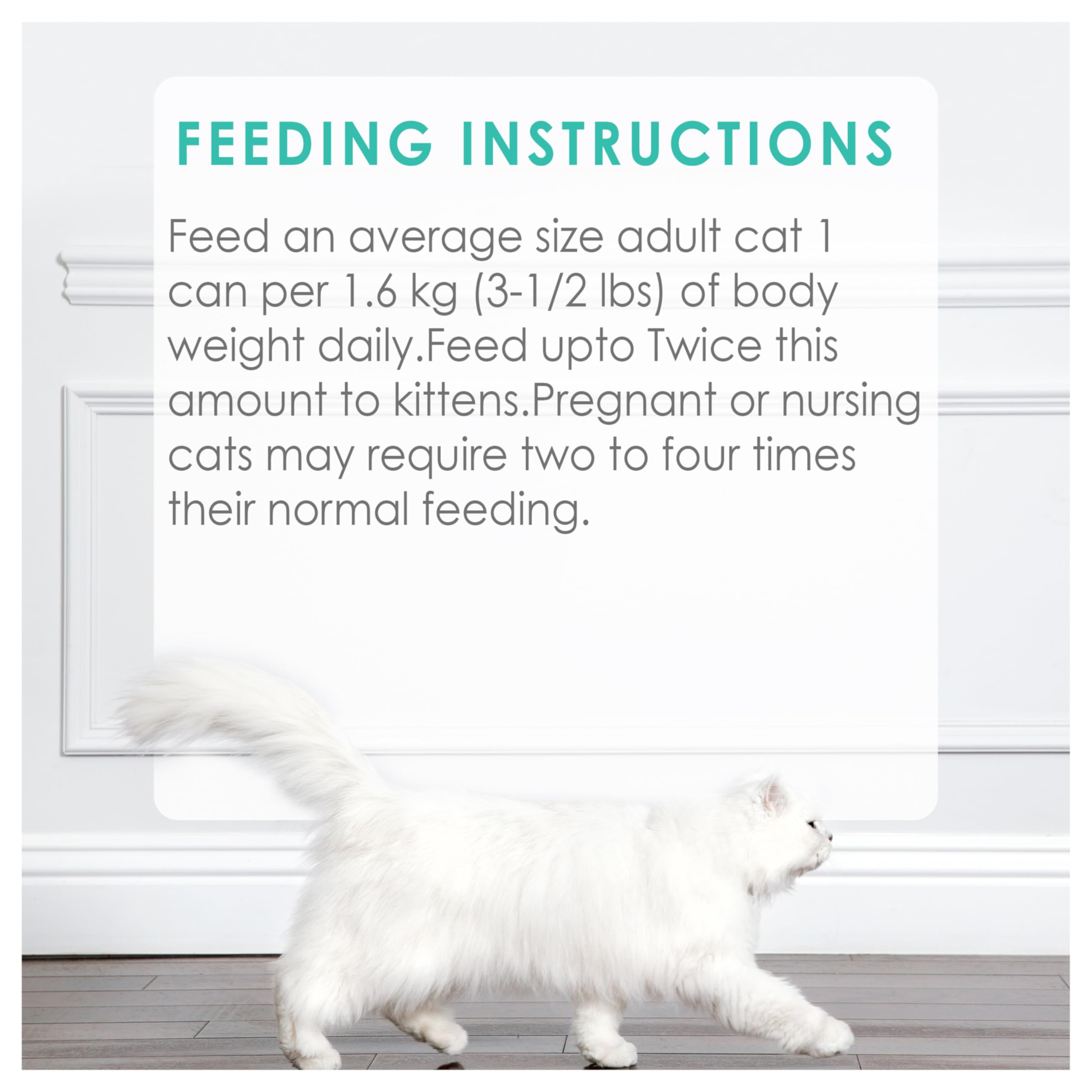 Fancy Feast Wet Cat Food, Pate Salmon & Shrimp Feast - 85 g Can (24 Pack) 🍁 All In One Marketplace Canada