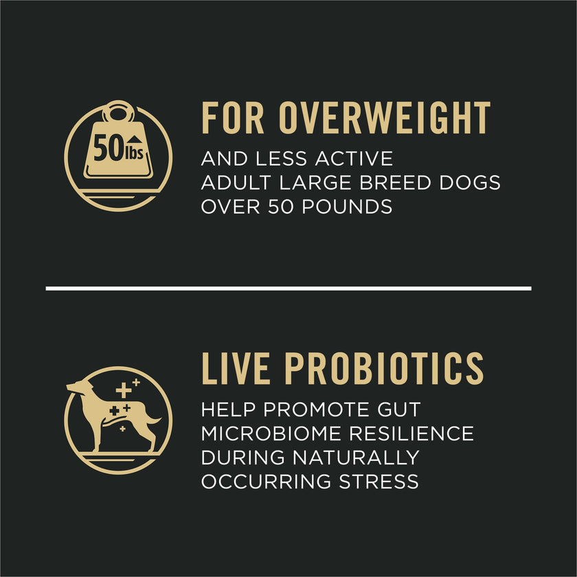 Purina Pro Plan FOCUS Adult Weight Management Large Breed Formula Adult Dry Food - (1) 34 lb. Bag 🍁 All In One Marketplace Canada