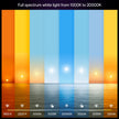 Philips Hue Smart LED A19 Bulb, White and Color Ambiance, E26 Base, 9.5W, Full Spectrum Light 1000K-20000K, 1100 Lumens, Dimmable, Works with Alexa, Google Assistant, and Apple Home, 1 Pack 🍁 All In One Marketplace Canada