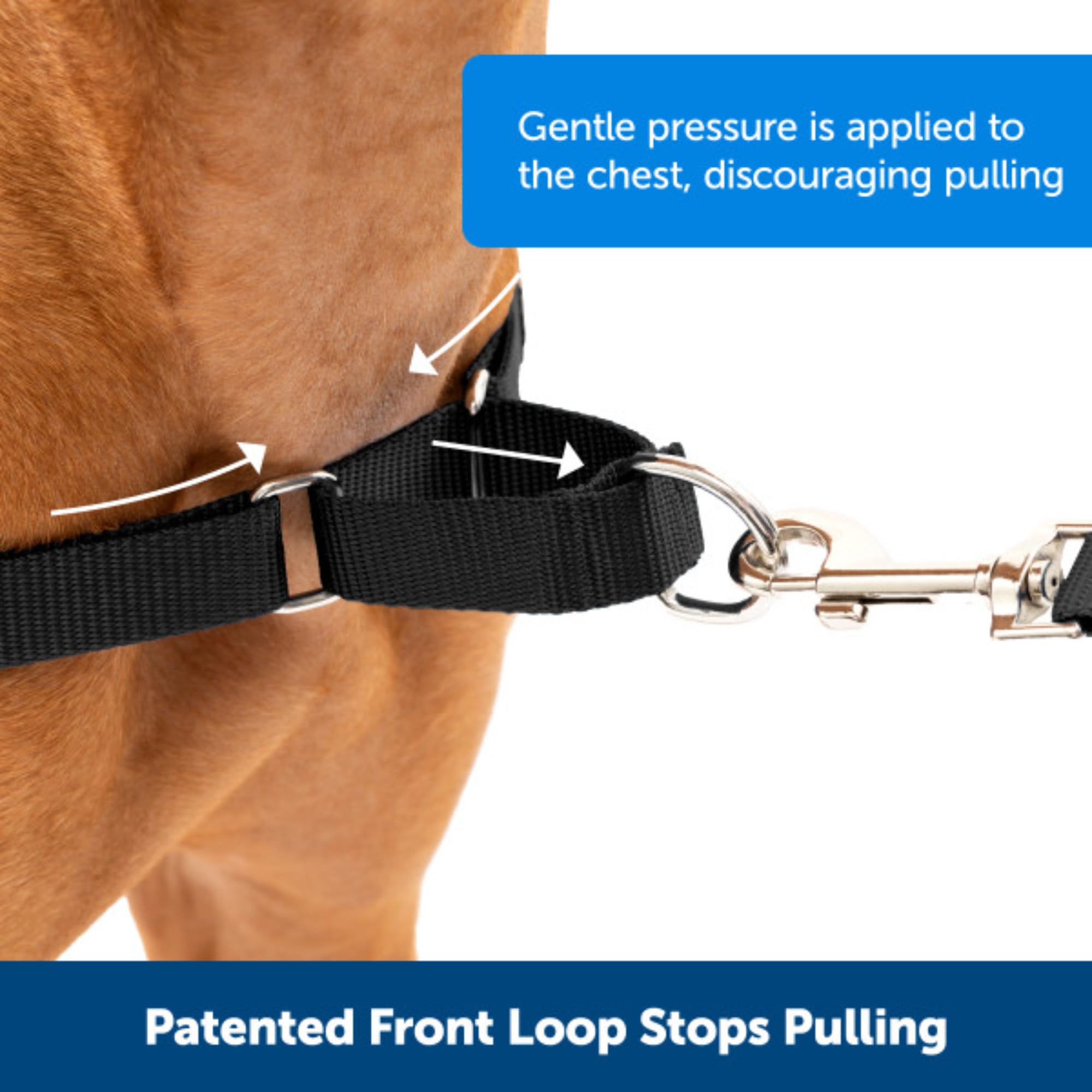 PetSafe Easy Walk Harness, No Pull Harness for Dogs, Adjustable Harness with Included Matching Lead Black Medium 🍁 All In One Marketplace Canada