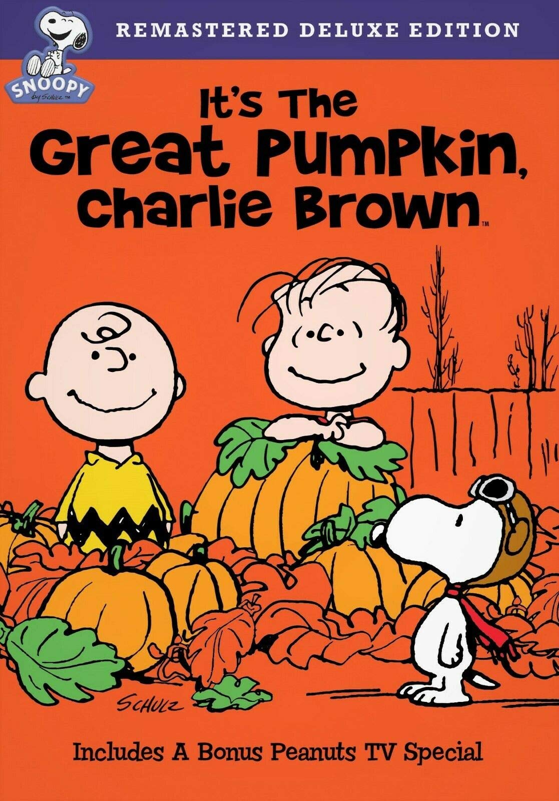 It's the Great Pumpkin Charlie Brown [Import]