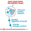 Royal Canin Size Health Nutrition X-Small Breed Dry Puppy Food, Supports Brain Development, Immune Support and Digestive Health, 3 lb Bag 🍁 All In One Marketplace Canada