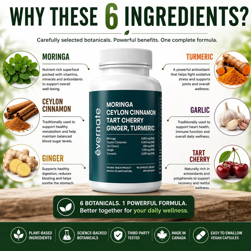 ALL-IN-ONE Moringa 8000 mg with Ceylon Cinnamon 4000 mg, Tart Cherry, Turmeric, Ginger & Garlic (Per Serving: 2 Capsules) – Antioxidant, Detox, Energy & Metabolic Support – Made in Canada 🍁 All In One Marketplace Canada