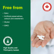 Organika Canadian-Made Glycine - Proteinogenic Amino Acid - Aids Protein Synthesis, Collagen Formation, Joint and Muscle Health, Calming Effect - 120caps 🍁 All In One Marketplace Canada
