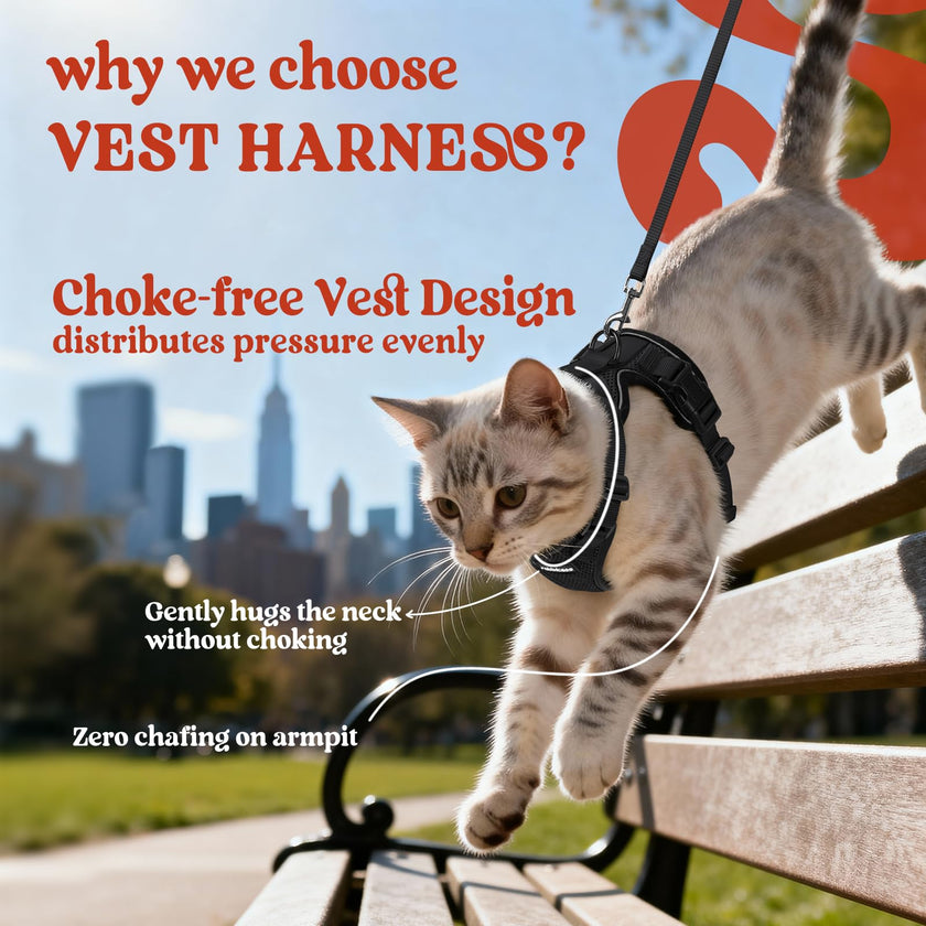 rabbitgoo Cat Harness and Leash for Walking, Escape Proof Soft Adjustable Vest Harnesses for Small Medium Cats, Easy Control Breathable Reflective Strips Jacket, XS, Black 🍁 All In One Marketplace Canada