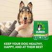 IAMS Proactive Health Minichunks Dry Dog Food – Crunchy Kibble for Adult Dogs – Chicken & Whole Grain Recipe – 13.61KG (30LB) Bag 🍁 All In One Marketplace Canada