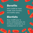 Webber Naturals Omega-3 with CoQ10, 80 Clear Enteric No Fishy Aftertaste Softgels, Supports Cardiovascular Health and Brain Function 🍁 All In One Marketplace Canada