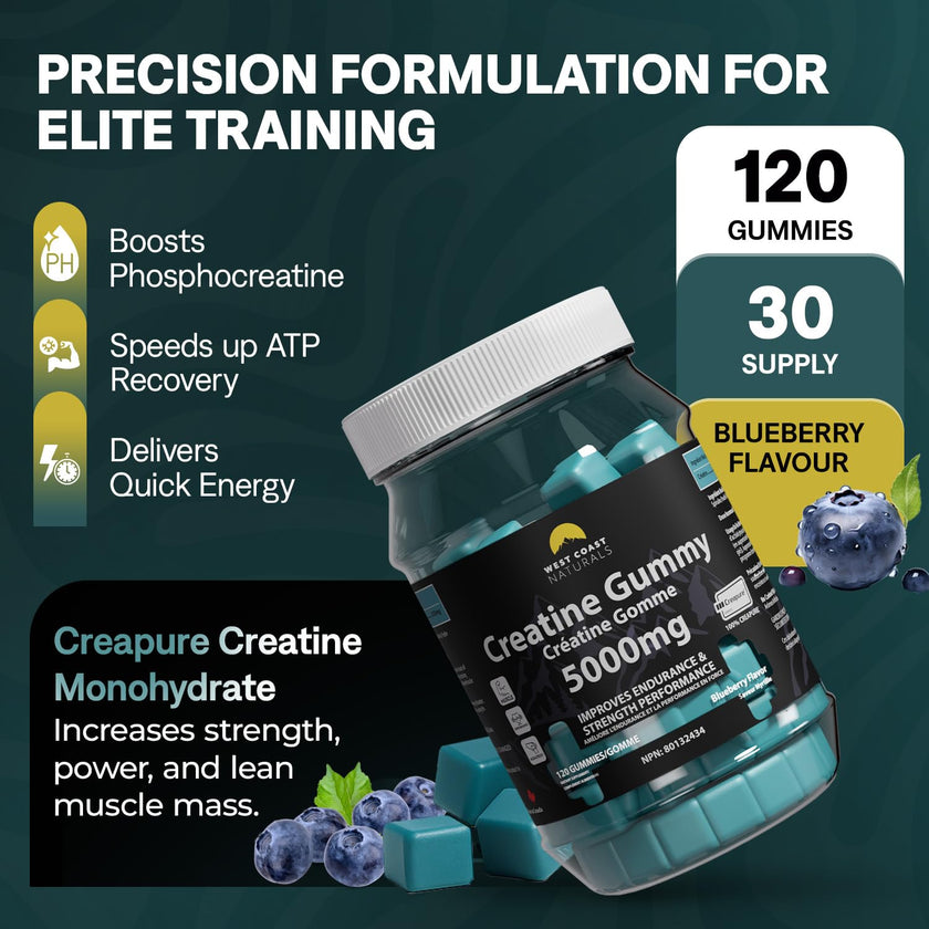 Creatine Monohydrate Gummies 5000 mg by West Coast Naturals – Blueberry Flavor, No Added Sugar, Chewable Supplement for Men and Women, Vegan – Kosher Certified – 120 Count 🍁 All In One Marketplace Canada