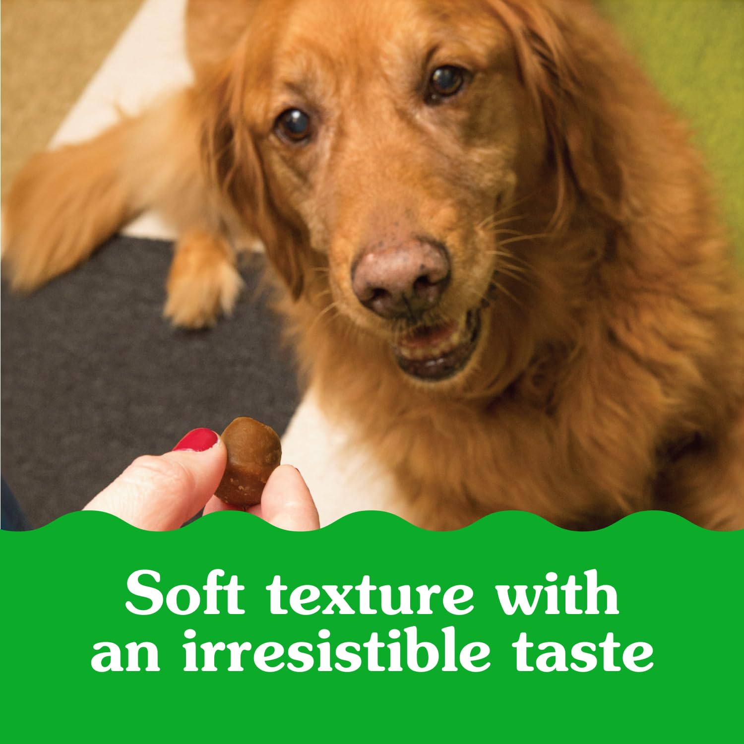 GREENIES Pill Pockets Capsule Size Natural Soft Dog Treats Chicken Flavor, (60 Treats) 15.8oz. Pack 🍁 All In One Marketplace Canada