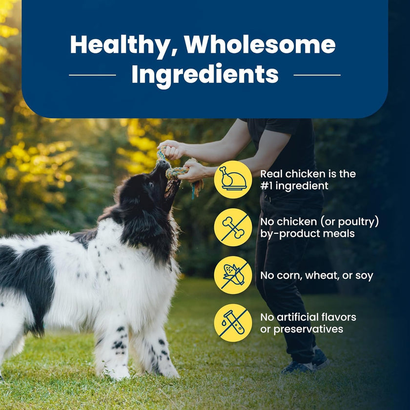 Blue Buffalo Life Protection Formula Healthy Weight Adult Dry Dog Food, Chicken & Brown Rice, Supports Immunity with Antioxidant-Rich LifeSource Bits, Promotes Lean Muscles, 11.7kg/26 lbs 🍁 All In One Marketplace Canada
