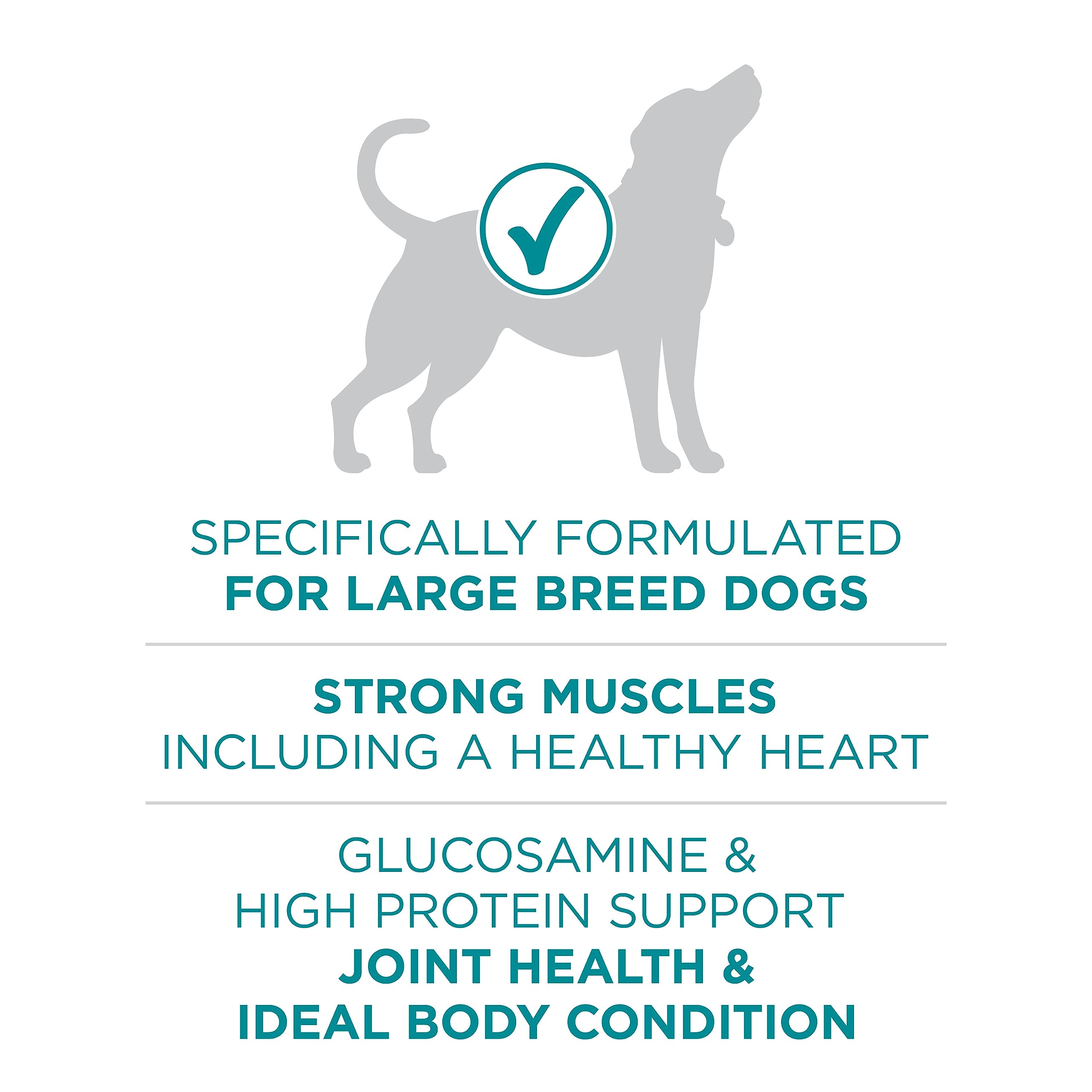 Purina ONE Dry Dog Food, +Plus Large Breed with Chicken - 7 kg Bag (1 Pack) 🍁 All In One Marketplace Canada