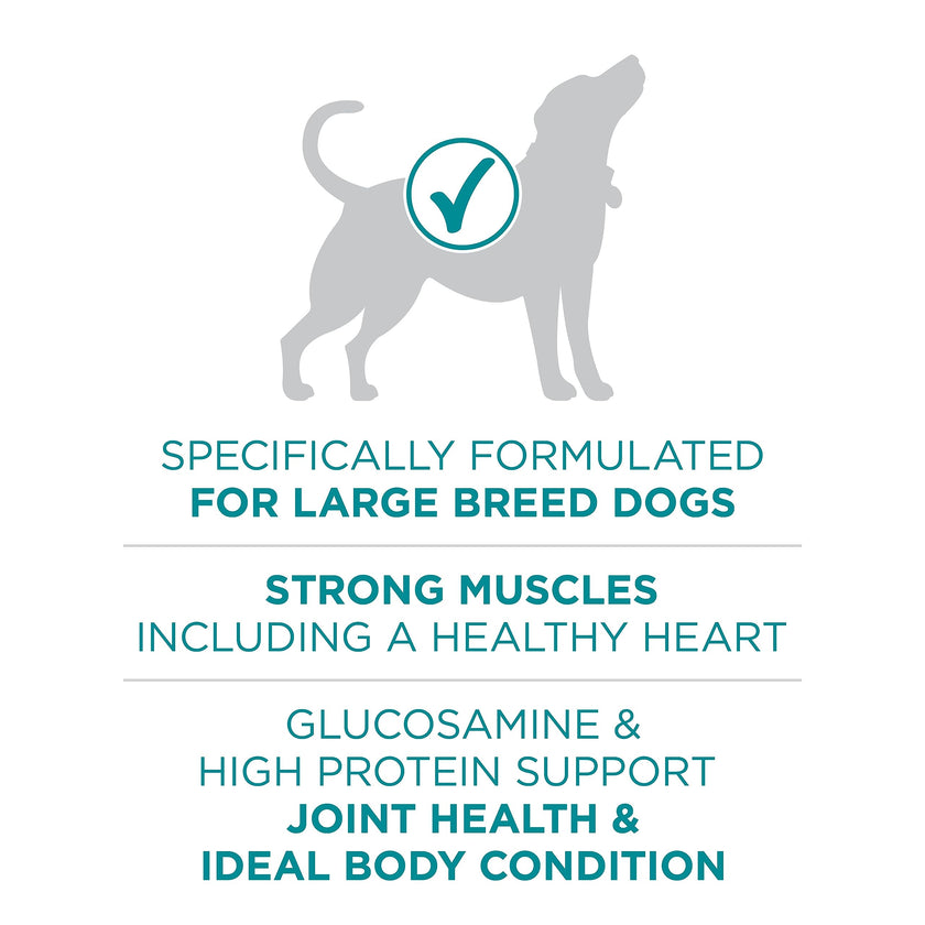 Purina ONE Dry Dog Food, +Plus Large Breed with Chicken - 7 kg Bag (1 Pack) 🍁 All In One Marketplace Canada