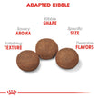 Royal Canin Size Health Nutrition Medium Puppy Dry Dog Food, 4 lb 🍁 All In One Marketplace Canada