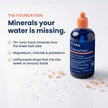 Trace Minerals ConcenTrace Drops - 240 ml, 96 Day Supply, Unflavored - Full Spectrum Minerals - Ionic Liquid Magnesium, Chloride & Potassium Electrolytes - Low Sodium Hydration 🍁 All In One Marketplace Canada