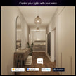 Philips Hue Essential Smart LED A19 Bulb, White and Color Ambiance, E26 Base, 8.8W, 2200K-6500K, 800 Lumens, Dimmable, Works with Alexa, Google Assistant, and Apple Home, 1 Pack 🍁 All In One Marketplace Canada