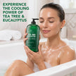 Botanic Hearth Eucalyptus Tea Tree Body Wash | Shower Gel - 16 fl oz | for Men and Women | Antifungal, Moisturizing & Soothing Formula with Natural Oils 🍁 All In One Marketplace Canada