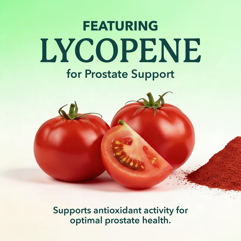 Probiotics for Men | Gut Health & Prostate Support | 50 Billion CFU with 15 Probiotic Strains | With Lycopene for Prostate Support | Men’s Gut Health Supplements | Non-GMO | Made in Canada | 60 Ct 🍁 All In One Marketplace Canada