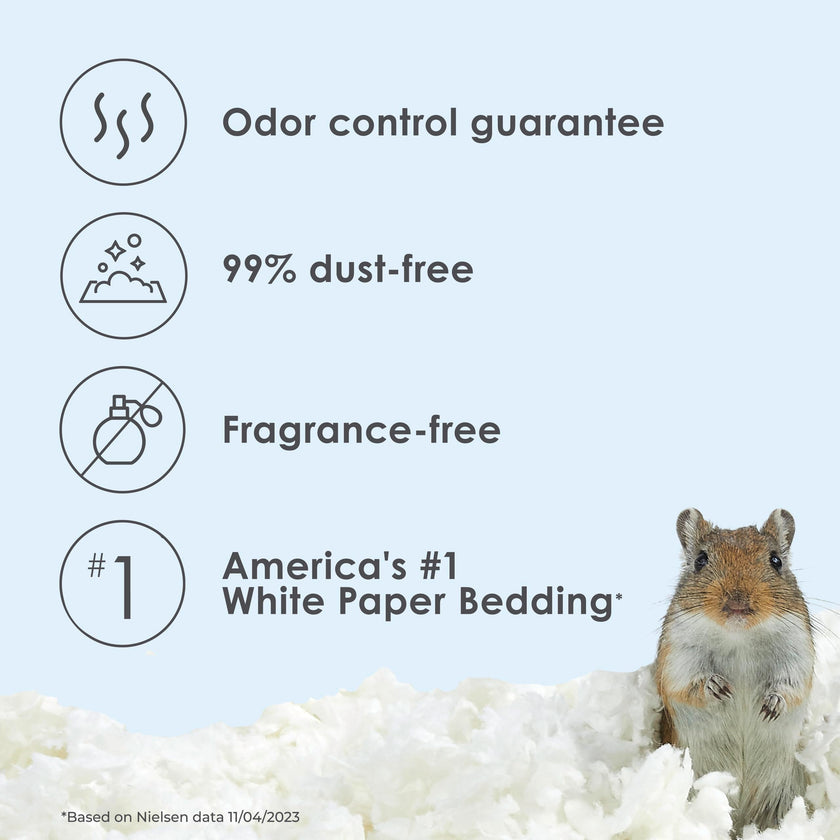Kaytee Clean & Cozy White Bedding Pet For Guinea Pigs, Rabbits, Hamsters, Gerbils, and Chinchillas, 49.2 Liters 🍁 All In One Marketplace Canada