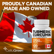 CelluGreen Turmeric Curcumin 3,700mg with Black Pepper Extract — 95% Curcuminoids for Joint Pain Relief & Anti-Inflammatory Support | Curcuma Longa | Non-GMO, Gluten-Free, Made in Canada | 120 Capsules 🍁 All In One Marketplace Canada