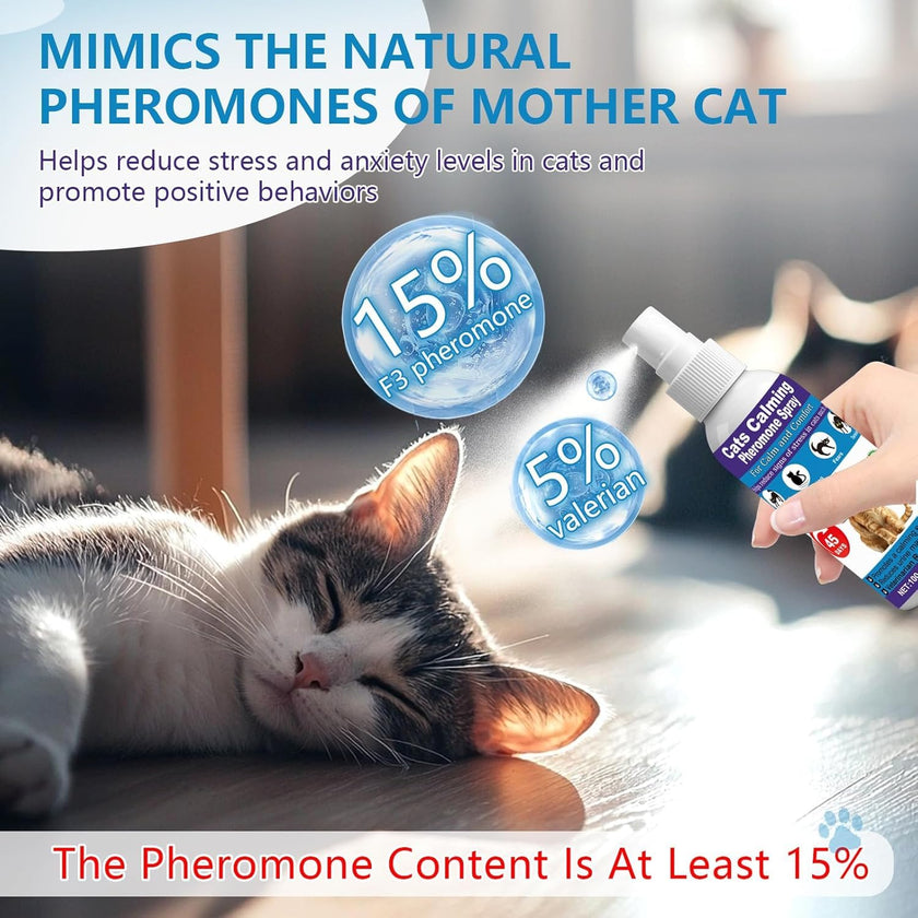 Cat Calming Spray & Cat Pheromone Spray – Stress & Anxiety Relief for Cats & Kittens, Reduces Scratching, Peeing & Marking, Safe Drug-Free Formula with F3 Cat Pheromones,2 Pack 🍁 All In One Marketplace Canada