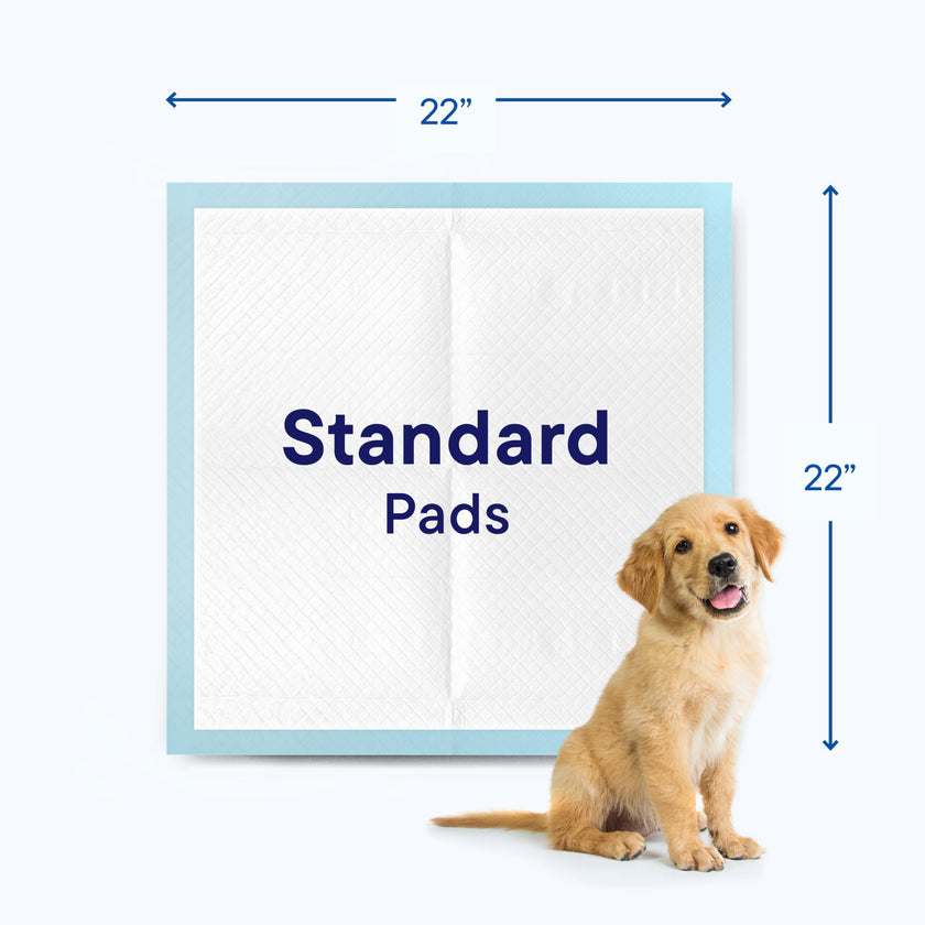Puppy Pads Pet Pee Pads for Dogs & Puppy Training - 100 Count - Potty Pads for Dogs 22