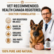 CB2 Hemp Oil for Dogs [225,000mg / 240mL / Organic] - Natural Hip and Joint Supplement for Dogs - Calming Anxiety Relief - Extra Strength for Pain, Inflammation, Arthritis, Stress, Aggression 🍁 All In One Marketplace Canada