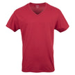 Gildan Men's V-Neck T-Shirts, Multipack, Style G1103, Navy/Charcoal/Cardinal Red (5-Pack), X-Large, Navy/Charcoal/Cardinal Red (5-Pack), X-Large 🍁 All In One Marketplace Canada